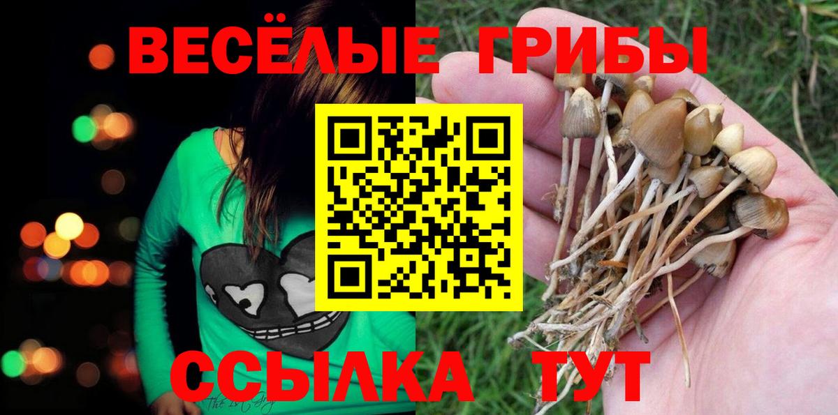 Галлюциногенные грибы прущие грибы  наркошоп  Вход с VPN  Урай  Псилоцибиновые грибы мицелий 